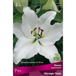 ������ ������ ����� ��������� ������ ���� (2 ��.)   ����