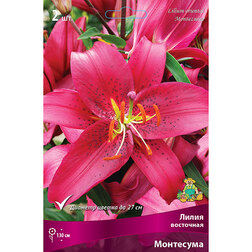 ������ ������ ����� ��������� ��������� (2 ��.)   ����