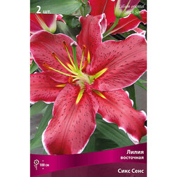 ������ ������ ����� ��������� ���� ���� (2 ��.)   ����