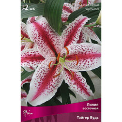 ������ ������ ����� ��������� ������ ���� (2 ��.)   ����