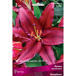 ������ ������ ����� ��������� �������� (2 ��.)   ����