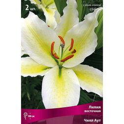 ������ ������ ����� ��������� ���� ��� (2 ��.)   ����