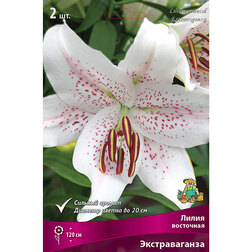 ������ ������ ����� ��������� ������������� (2 ��.)   ����