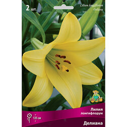 ������ ������ ����� ����������� ������� (2 ��.)   ����