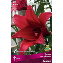 ������ ������ ����� ����������� ������ (2 ��.)   ����