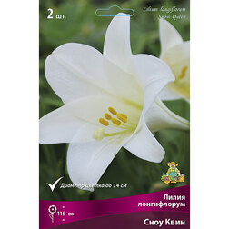 ������ ������ ����� ����������� ���� ���� (2 ��.)   ����