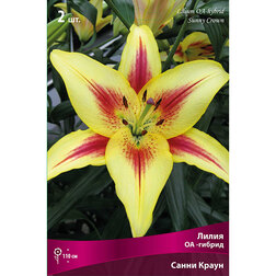 ������ ������ ����� ��-������ ����� ����� (2 ��.)   ����