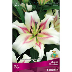 ������ ������ ����� ��-������ ������� (2 ��.)   ����