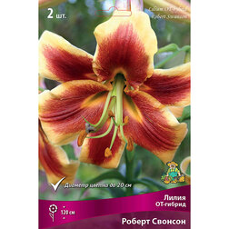 ������ ������ ����� ��-������ ������ ������� (2 ��.)   ����