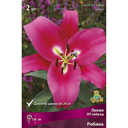 ������ ������ ����� ��-������ ������ (2 ��.)   ����