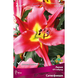 ������ ������ ����� ��-������ ���������� (2 ��.)   ����