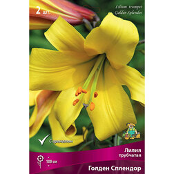 ������ ������ ����� ��������� ������ �������� (2 ��.)   ����