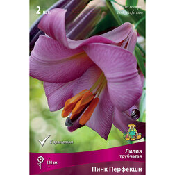 ������ ������ ����� ��������� ���� �������� (2 ��.)   ����