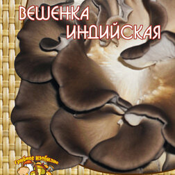 ������ ������ ������� ��������� (12 ��.)   ����