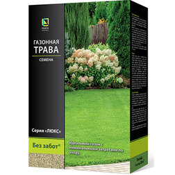 ������ ������ �������� ����� ��� ����� (1��.)   ����