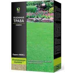 ������ ������ �������� ����� ���������� ������ (500 �)   ����