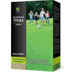 ������ ������ �������� ����� ���������� �������� (500 �)   ����