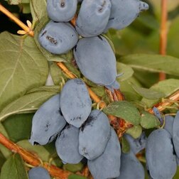 ������ ������ ��������� ��������� ������ ����   ����