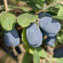 ������ ������ ��������� ��������� ������ ����   ����