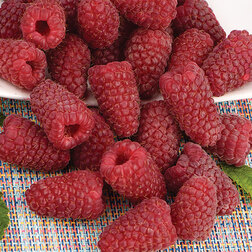 ������ ������ ������ ������������ ��������� �����   ����