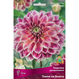 ������ ������ �������� ������������ ����� �� �����   ����