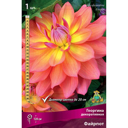 ������ ������ �������� ������������ ������� (1 ��.)   ����