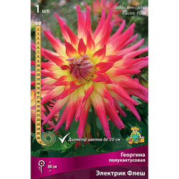 ������ ������ �������� �������������� �������� ����   ����