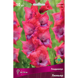 ������ ������ ��������� ��������������� ������ (10 ��.)   ����