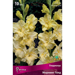 ������ ������ ��������� ��������������� ������� ���� (10 ��.)   ����