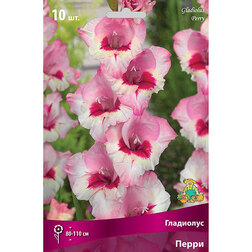 ������ ������ ��������� ��������������� ����� (10 ��.)   ����