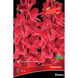 ������ ������ ��������� ����� (5 ��.)   ����