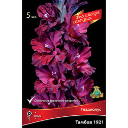 ������ ������ ��������� ������ 1921 (5 ��.)   ����