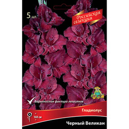 ������ ������ ��������� ������ �������   ����