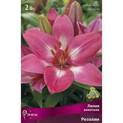 ������ ������ ����� ��������� ������� (2 ��.)   ����