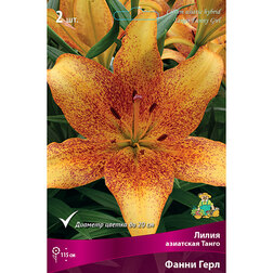 ������ ������ ����� ��������� ����� ����� ���� (2 ��.)   ����