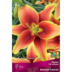 ������ ������ ����� ��-������ ������ ������   ����