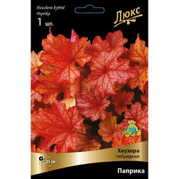 ������ ������ ������� ��������� �������   ����