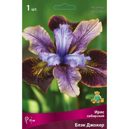 ������ ������ ���� ��������� ���� ������   ����