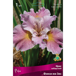 ������ ������ ���� ��������� ����� �� ���   ����