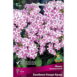 ������ ������ ����� ����������� ������� ����� ����   ����