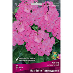 ������ ������ ����� ����������� ������� ����������   ����