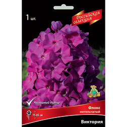 ������ ������ ����� ����������� ��������   ����