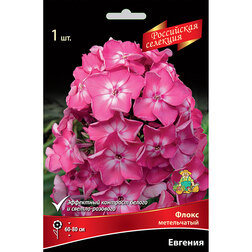 ������ ������ ����� ����������� �������   ����