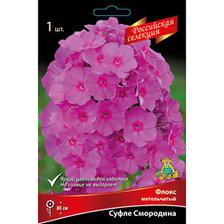 ������ ������ ����� ����������� ����� ���������   ����