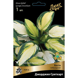 ������ ������ ����� ��������� �������� �������� *   ����