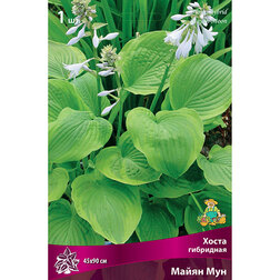 ������ ������ ����� ��������� ����� ���   ����