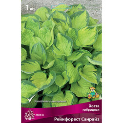 ������ ������ ����� ��������� ���������� �������   ����