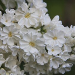 ������ ������ ������ ������������ ��������   ����