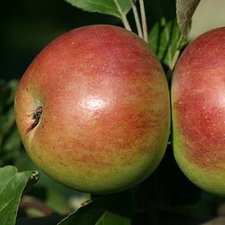 ������ ������ ������ ������������� �������   ����