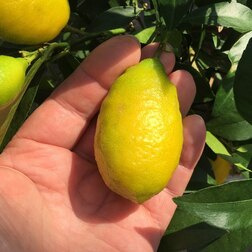 ������ ������ ������ �������� ��������   ����